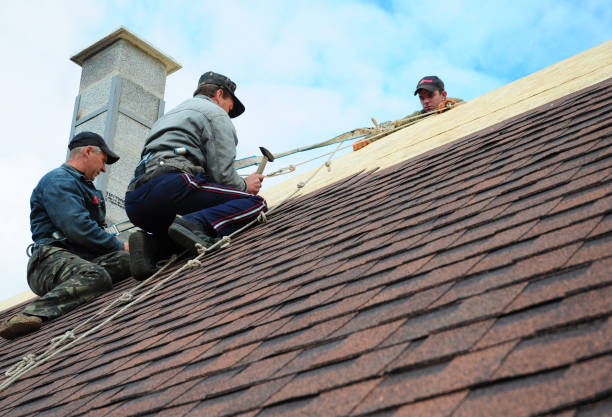 Best Roof Waterproofing Services  in Jarales, NM